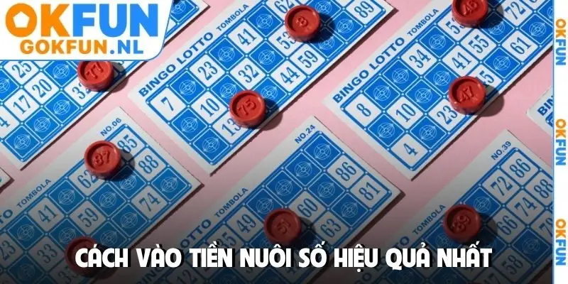 Cách vào tiền nuôi số hiệu quả nhất