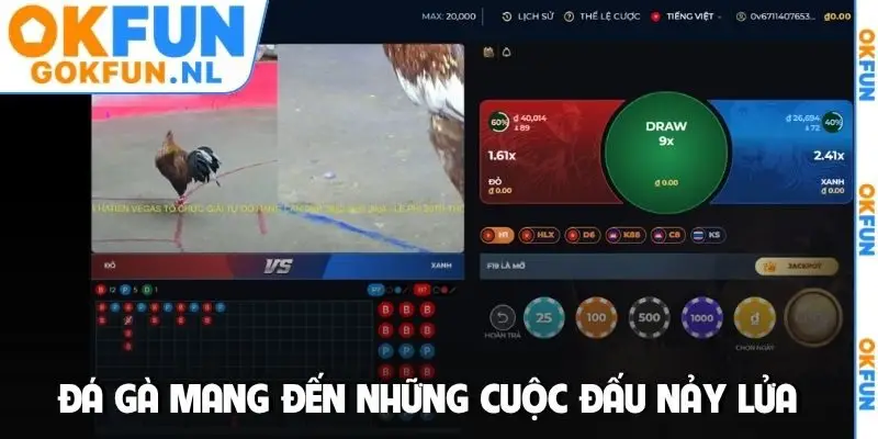 Đá gà mang đến những cuộc đấu nảy lửa
